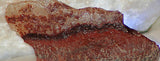 Carey Plume Agate 0.8 oz Lapidary  slab - radiantrocksct