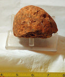 Piranha Brazilian banded Agate rough ~12.6oz - windchimes, sun catcher (357 gms) - radiantrocksct