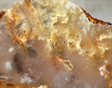 Graveyard Point Plume Agate16.4oz (465 grams) lapidary slab Regency Rose. - radiantrocksct