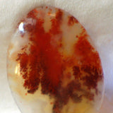 Carey Plume Agate Oval Cabochon 70 carats - radiantrocksct