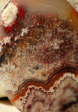 Red Crazy Lace Agate Cabochon 81 carats - radiantrocksct