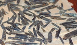 Blue Zimbabwe Kyanite crystals 1 lb 4.2 oz lapidary rough (573 grams) - radiantrocksct
