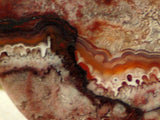 Red Crazy Lace Agate Cabochon 81 carats - radiantrocksct