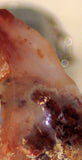 Carey Plume Agate 0.4 oz Lapidary  cab slab good plume (11 grams) - radiantrocksct