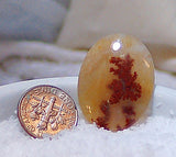 Carey Plume Agate Oval Cabochon 19 carats - radiantrocksct
