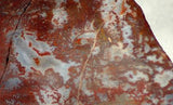 Moroccan Jasper Agate 3.2lb  lapidary slab  (1463 grams) - radiantrocksct