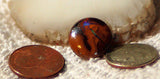 Koroit Boulder Opal Round Cabochon green Fire - radiantrocksct