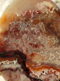 Red Crazy Lace Agate Cabochon 81 carats - radiantrocksct