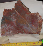Moroccan Jasper Agate 2.5lb  lapidary slab  (1162 grams) - radiantrocksct