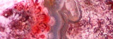 Red Crazy Lace Agate Cabochon 16 carats - radiantrocksct
