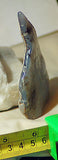 Malawi Blue Chalcedony lapidary lightly tumbled rough 2.3 oz dendritic plate - radiantrocksct