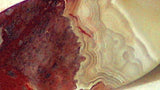 Red Crazy Lace Agate Cabochon17 carats - radiantrocksct