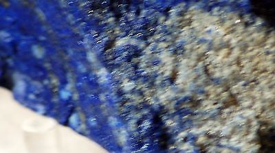Afghan Lapis Lazuli 7.6 ounces  lapidary rough (215 grams) - radiantrocksct