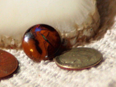 Koroit Boulder Opal Round Cabochon green Fire - radiantrocksct