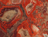 Red Crazy Lace agate Lapidary Slab 5.2oz Great colors /patterns (147 grams) - radiantrocksct