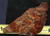 Rooster Tail  brecciated Agate 4.6 oz lapidary cabochon slab - radiantrocksct