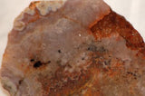 Arizona Amethyst 8.2 oz lapidary cabochon slab (232 grams) - radiantrocksct