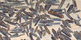 Blue Zimbabwe Kyanite crystals 1 lb 4.4 oz lapidary rough (578 grams) - radiantrocksct