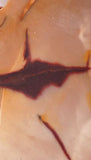Australian Mookaite Jasper Lapidary slab 7.6 oz (215 gram) - radiantrocksct