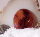 Carey Plume Agate Oval Cabochon 25 carats - radiantrocksct