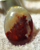 Carey Plume Agate Oval Cabochon 24.5 carats - radiantrocksct