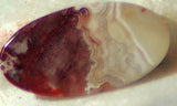 Red Crazy Lace Agate Cabochon17 carats - radiantrocksct