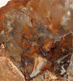 Graveyard Point Plume Agate16.4oz (465 grams) lapidary slab Regency Rose. - radiantrocksct
