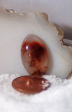 Carey Plume Agate Oval Cabochon 10.5 carats - radiantrocksct