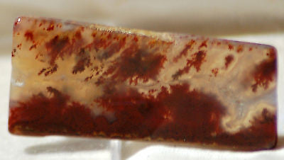 Carey Plume Agate  freeform cabochon 75 carats - radiantrocksct