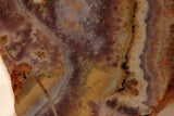 Arizona Amethyst 8.2 oz lapidary cabochon slab (232 grams) - radiantrocksct