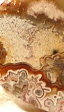 Red Crazy Lace Agate Cabochon 170.5 carats - radiantrocksct