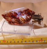 Carey Plume Agate Freeform Cabochon 167 carats - radiantrocksct