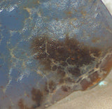 Malawi Blue Chalcedony lapidary lightly tumbled rough 2.3 oz dendritic plate - radiantrocksct