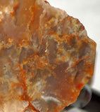 Graveyard Point Plume Agate16.4oz (465 grams) lapidary slab Regency Rose. - radiantrocksct
