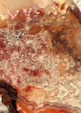 Red Crazy Lace Agate Cabochon 81 carats - radiantrocksct