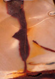 Australian Mookaite Jasper Lapidary slab 7.6 oz (215 gram) - radiantrocksct