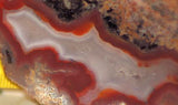 Agua Nueva agate Lapidary Cabochon Slab 3.0 oz Great color (85 grams) - radiantrocksct