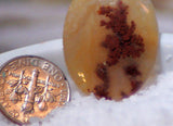 Carey Plume Agate Oval Cabochon 19 carats - radiantrocksct