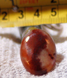 Carey Plume Agate Oval Cabochon 25 carats - radiantrocksct