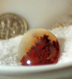 Carey Plume Agate Oval Cabochon 24.5 carats - radiantrocksct