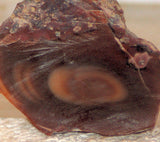 Bruneau Jasper Lapidary Cabochon Slab 0.8 oz  orbs - radiantrocksct