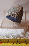 Afghan Lapis Lazuli 9.8 ounces  lapidary rough (278 grams) - radiantrocksct