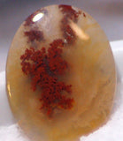 Carey Plume Agate Oval Cabochon 19 carats - radiantrocksct