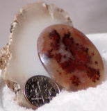 Stunning Carey Plume Agate Oval Cabochon 32.5 carats - radiantrocksct