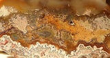 Red Crazy Lace Agate Cabochon 170.5 carats - radiantrocksct