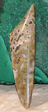 Ocean Jasper Freeform Cabochon 60 carats great patterns and colors - radiantrocksct