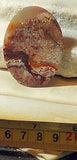 Red Crazy Lace Agate Cabochon 81 carats - radiantrocksct