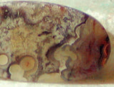 Red Crazy Lace Agate Cabochon 17 carats - radiantrocksct