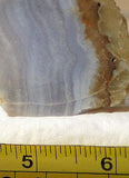 Namibian Blue Lace Agate 0.8 oz lapidary slab - radiantrocksct
