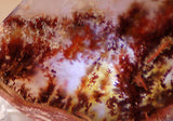 Carey Plume Agate Freeform Cabochon 167 carats - radiantrocksct